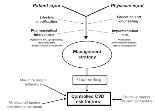 Figure 8 Comprehensive management strategy for patients with cardiovascular disease risk factors.