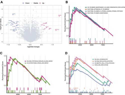 Figure 6 Differences in molecular and pathway expression between the panel-MT and panel-WT groups. (A) Differentially expressed genes between the panel-MT and panel-WT groups. A total of 14 genes were upregulated in the panel-WT group when the p value <0.05 and FC > 3/2 or FC < 2/3. FC, fold change. (B–D) The GSEA results show the significantly enriched pathways in the panel-MT group. Pathways related to telomerase maintenance (B) and the cell cycle (D) were enriched in the panel-MT group. DNA synthesis involved in DNA repair and interstrand crosslink repair pathways were significantly enriched in the panel-MT group (C).