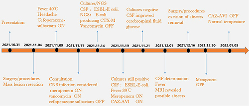Figure 1 Timeline depicting case progression, antibiotic treatment, and TDM initiation (dates in a yyyy/mm/dd format).