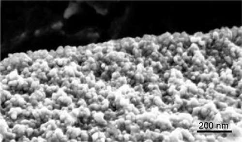 Figure 4 Field emission scanning electron micrograph showing the granular structure of the oxide layer at nanoscale.