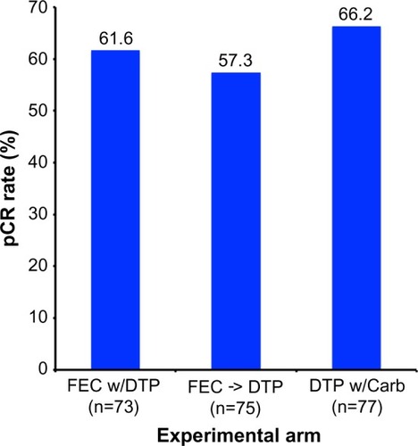 Figure 5 Results from the TRYPHAENA trial comparing pCR rates by experimental treatment arm.Note: Adapted from Schneeweiss A, Chia S, Hickish T, et al. Pertuzumab plus trastuzumab in combination with standard neoadjuvant anthracycline-containing and anthracycline-free chemotherapy regimens in patients with HER2-positive early breast cancer: a randomized phase II cardiac safety study (TRYPHAENA). Ann Oncol. 2013;24(9):2278–2284, by permission of Oxford University Press.Citation44Abbreviations: DTP, docetaxel, trastuzumab, and pertuzumab; DTP w/Carb, DTP with carboplatin; FEC w/DPT, fluorouracil, epirubicin, and cyclophosphamide with concurrent DTP; FEC -> DTP, FEC followed by DTP; pCR, pathological complete response.