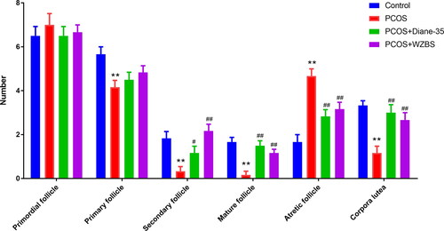 Figure 4. WZBS recipe increased the number of mature follicles and corpora lutea in LE-induced PCOS rats. *p < 0.05 and **p < 0.01 vs. Control, #p < 0.05 and ##p < 0.01 vs. PCOS. Data were presented as mean ± SD. n = 3.