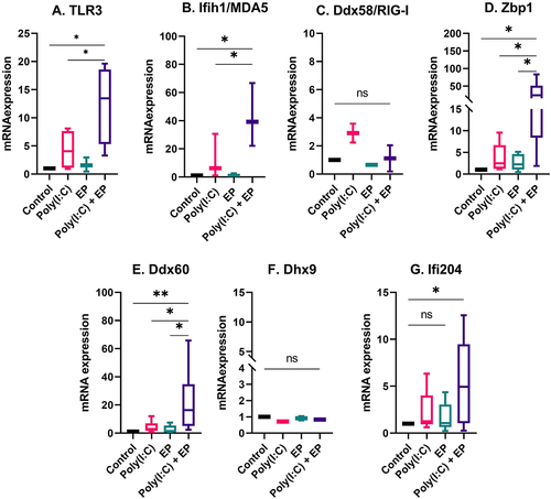 Figure 6. The regulation of several dsRNA sensor and co-sensor mRNAs by poly(I:C) transfection in fibrosarcoma cells. Relative expression of (A) TLR3, (B) Ifih1/MDA5, (C) Ddx58/RIG-I, (D) Zbp1, (E) Ddx60, (F) Dhx9, and (G) Ifi204. (***p < 0.001, **p < 0.01, * p < 0.05, ns = non-significant, n = 3–5).