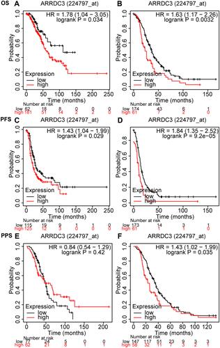 Figure 6 Stratified survival analysis of ARRDC3 in ovarian cancer by debulking degree of OS, PFS, PPS. (A and B) Stratified survival analysis of ARRDC3 in ovarian cancer of optimal and suboptimal of OS, respectively; (C and D) stratified survival analysis of ARRDC3 in ovarian cancer of optimal and suboptimal of PFS, respectively; (E and F) stratified survival analysis of ARRDC3 in ovarian cancer of optimal and suboptimal of PPS, respectively.