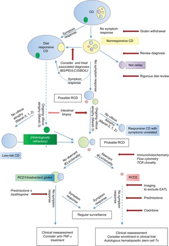 Figure 3 A flow chart showing suggested pathways for diagnosis and management of RCD.