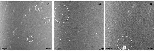 Figure 7. Micrograph for the sample F with (a) 5 g of EGMA, (b) 10 g of EGMA and (c) 15 g of EGMA.