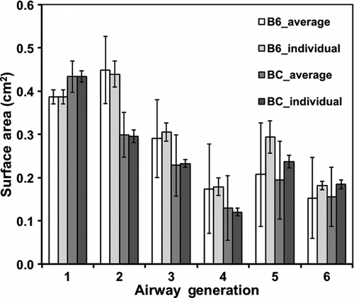 FIG. 1 Surface area per airway generation (mean ± SE; n = 3). For airway generations 1–6, comparison of surface area between mice (B6C3F1 or Balb/c) and between method of calculating airway surface area (based on average airway dimensions or based on individual airway dimensions). White columns represent surface area from average airway dimensions of B6C3F1 mice; light-grey columns represent area from individual airway dimensions of B6C3F1 mice; grey columns represent area from average airway dimension of Balb/c mice; and dark-grey columns represent area from individual airway dimensions of Balb/c mice.