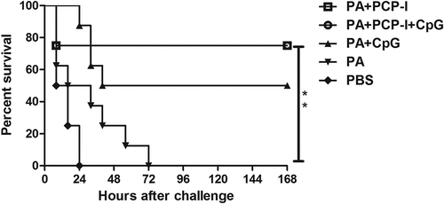 Figure 5. Protection against anthrax toxin challenge. Four weeks after the last immunization, the mice were challenged with lethal toxin (25 μg of LF + 50 μg of PA in 0.1 mL saline). Survival was monitored every 8 h for seven days following challenge (**p < .01).
