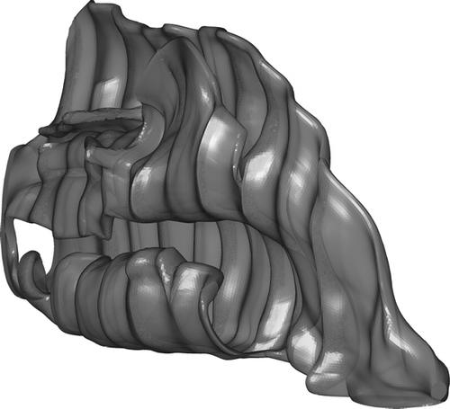 FIG. 3 The constructed 3D nasal cavity for computational analysis.