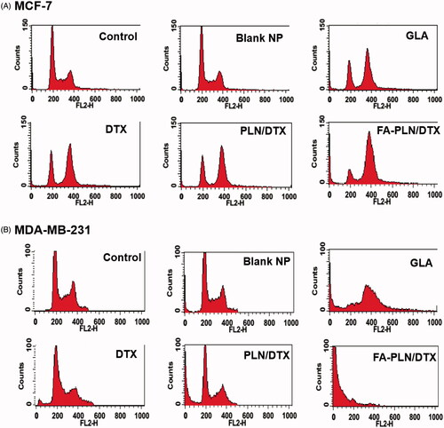 Figure 4. Cell cycle analysis of (A) MCF-7 and (B) MDA-MB-231 cancer cells after exposure to different formulations. The cells were treated with blank NPs without GLA, DTX, GLA, PLN/DTX, and FA-PLN/DTX for 24 h. Cell cycle analysis was performed on a flow cytometer. G0/G1, S, and G2/M show the cell cycle phase, and subG1 refers to the proportion of apoptotic cell.
