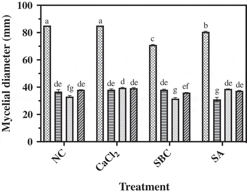 Fig. 2 Inhibitory effect of P. fluorescens isolates 1–112, 2–28 and 4–6 on mycelial growth of M. piriformis on ¼ TSA-PDA amended with no chemicals (NC) or amended with calcium chloride (CaCl2), sodium bicarbonate (SBC) or salicylic acid (SA) after 72 h incubation at 25°C. Data represent the mean of three replicates ± standard error. Means followed by a common letter are not significantly different according to Tukey’s test (P < 0.05). Display full size Control, Display full size 1–112, Display full size 2–28, Display full size 4–6.