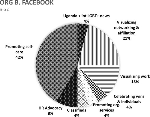 Figure 6. Organization B, Facebook use, January 2022.