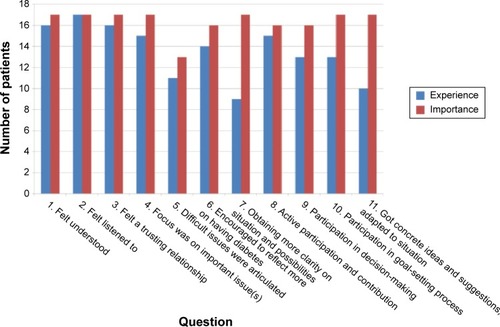 Figure 2 Patient ratings of experiences and importance of consultation parameters (N=17).