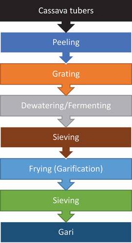 Figure 2. The flow chart of production of gari.