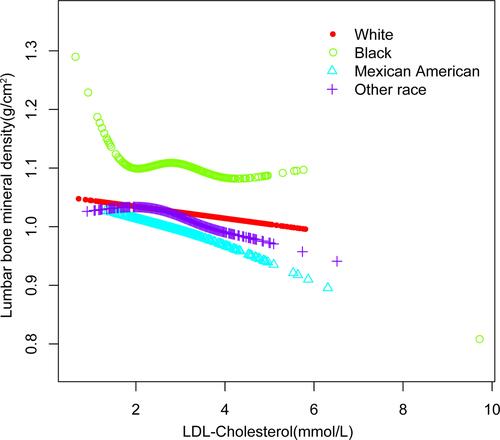 Figure 3 The association between low-density lipoprotein cholesterol and lumbar bone mineral density stratified by race. Age, gender, educational level, BMI, family income-to-poverty ratio, moderate activities, smoking at least 100 cigarettes over the life period to the point of data collection, diabetes status, hypertension status, ALT, AST, total calcium, blood urea nitrogen, serum uric acid, and serum phosphorus were adjusted.