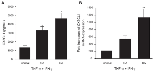 Figure 3 Secretion (A) and mRNA expression (B) of CX3CL1 by OBs from RA, OA, or normal controls. OBs from RA patients (n = 3), OA patients (n = 2), or normal individuals (n = 2) were incubated for 24 h or 4 h with TNF-α (20 ng/mL) and IFN-γ (1000 U/mL). CX3CL1 levels in the culture supernatants (A) and CX3CL1 mRNA expression (B) were assayed using specific ELISAs and real-time PCR, respectively. Data are expressed as the means ± SEM of 3 to 5 independent experiments. *p < 0.05 vs control OBs, **p < 0.05 vs control OBs and OA OBs.