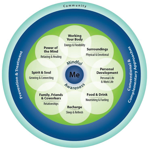Figure 1. Proactive health and well-being model. The eight dimensions of Whole Health at the core of the personal health inventory self-assessment tool used in the quality improvement project. Adapted from “Whole Health for life: components of proactive health and well-being,” Reuse permission granted by U.S. Department of Veterans Affairs, 2016.