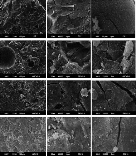 Figure 10. Micrograph images of the selected metakaolin-based geopolymer cements G0, GSCaS10, GACaS10, and GCH10.