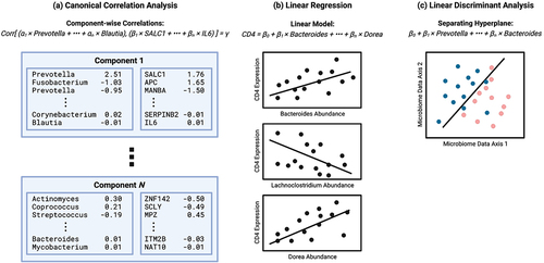 Figure 2. Comparison of linear modeling strategies. (a) Canonical Correlation Analysis (CCA) finds linear combination of covariates in each –omics layer that have a maximal correlation. (b) Linear regression identifies linear relationships between a response variable, such as gene expression, and many explanatory variables, such as taxon abundances. (c) Linear discriminant analysis (LDA) finds a best separating hyperplane between two sets of data points.