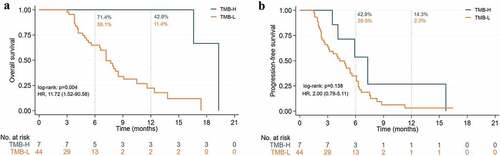 Figure 10. Kaplan-Meier curves of ICIs with TMB-H and TMB-L in the overall population. (a) Overall survival. (b) Progression-free survival.
