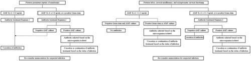 Figure 1. Protocols for the antibiotic treatment of preterm premature rupture of membranes and preterm labor, cervical insufficiency, and asymptomatic cervical shortening.AMF: amniotic fluid; IL-6: interleukin-6; Regimen 1: ampicillin (ABPC) 2 g IV q6h for 2 days followed by amoxicillin 250 mg PO q6h for 5 days and clarithromycin 200 mg PO q12h for 7 days, Regimen 2: sulbactam/ABPC 1.5 g IV q6h daily and azithromycin 500 mg IV q24h for 3/7 days.