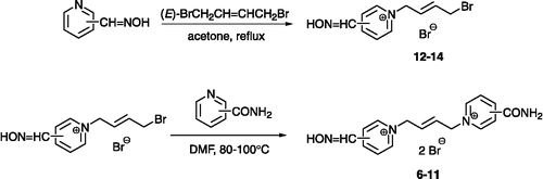Scheme 1 Two step synthesis of monooxime-monocarbamoyl bisquaternary compounds with (E)-but-2-ene linker.