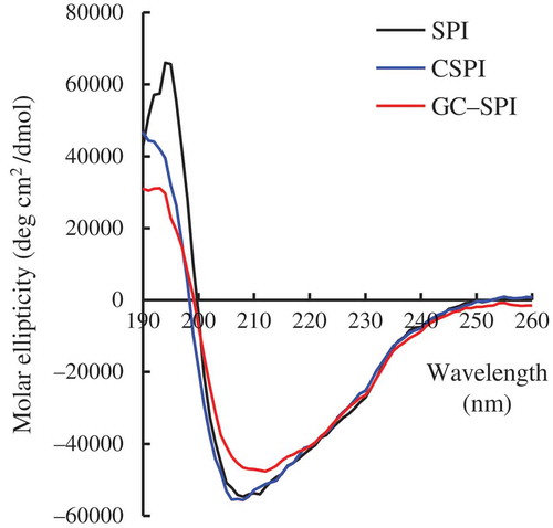 Figure 3. Circular dichroism spectra of soybean protein isolate (SPI), cross-linked SPI (CSPI), and glycated and cross-linked SPI (GC-SPI) dispersed in a phosphate buffer (10 mmol/L, pH 7.0) at a fixed protein concentration of 0.1 g/L.Figura 3. Espectro de dicroísmo circular del aislado de proteína de soja (SPI), SPI reticulado (CSPI) y SPI glicado y reticulado (GC-SPI) disperso en un tampón fosfato (10 mmol/L, pH 7,0) con una concentración proteínica determinada de 0,1 g.