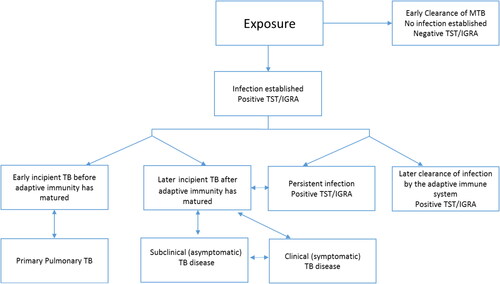 Figure 1. Contemporary understanding of the pathogenesis of tuberculosis (TB) infection and disease. Abbreviations: MTB, Mycobacterium tuberculosis; TST, tuberculin skin test; IGRA, interferon-gamma release assay.