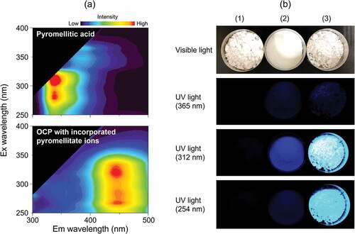 Figure 6. (a) 3D fluorescent spectra of pyromellitic acid and OCP with incorporated pyromellitate ions, and (b) images of samples under visible and UV light (365, 312, and 254 nm); (1) plain OCP, (2) pyromellitic acid and (c) OCP with incorporated pyromellitate ions. Reprinted from reference [Citation32] with permission. .