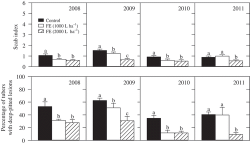 Fig. 2. Effect of serial applications of economically feasible rates of fish emulsion (FE) as a pre-plant soil amendment on scab severity and deep-pitted lesions on tubers in an Ontario commercial potato field. Tubers were harvested in the autumn of each year and rated for scab severity (see Fig. 1). Error bars represent standard error of the mean (n = 4). Treatments within a year with the same letter are not significantly different (P < 0.05).
