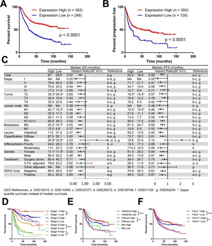 Figure 1 The mRNA level of LIMD1 correlates with prognosis in patients with GC.Notes: (A) KM plots of PFS and LIMD1 expression are shown. (B) KM plots of OS and LIMD1 expression are shown. The expression data were interrogated from the GEO datasets including GSE14210, GSE15459, GSE22377, GSE29272, GSE38749, GSE51105, and GSE62254, and the results were downloaded from KM Plotter (http://kmplot.com/). (C) The HRs for OS and PFS in LIMD1 high-expressing and low-expressing patients are compared in the forest plot. The mOS, mPFS, HRs, and 95% CI are listed for each subgroup. (D–F) KM plots of OS and LIMD1 expression for patients in the subgroups of different stages (D), Lauren’s classification (E), and HER2 amplifications (F) are shown. *P<0.05; **P<0.01; ****P<0.0001.Abbreviations: GC, gastric cancer; KM, Kaplan–Meier; mOS, median OS; mPFS, median PFS; PFS, progression-free survival; GEO, gene expression omnibus.