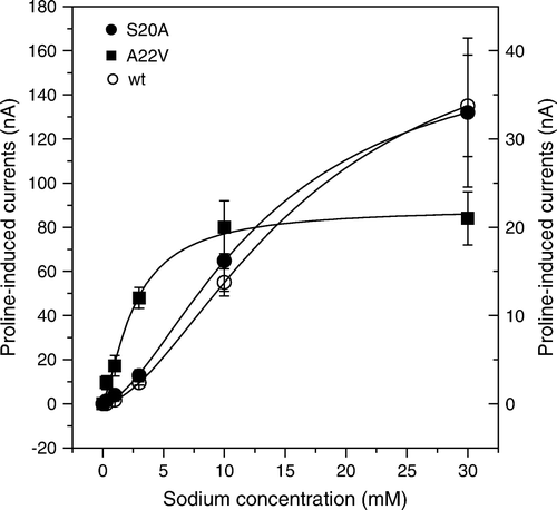 Figure 5.  Activation of proline-induced currents by sodium ions. Oocytes were injected with wild type, A20V and S20A IMINO cRNA. After an incubation period of five days oocytes were superfused with 0.5 mM proline in the presence of Na+ ranging from 1–30 mM and the resulting currents were recorded. The left scale is used for wild-type currents, the right scale for the two mutated transporters. Each datapoint represents the mean±SEM of n=7 oocytes. The experiment was repeated with two independent batches of oocytes.