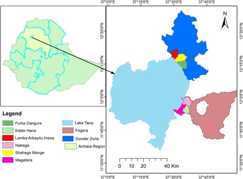 Figure 1. Location map of Amhara Regional State in Ethiopia (left) and Lake Tana (right).Source: Authors' production using Ethio-Gis spatial data, 2021.