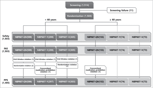 Figure 1. Flow chart of the subjects throughout the study.