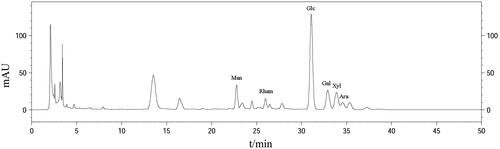 Figure 1. HPLC analysis of IOP. IOP was applied to a C18 chromatographic column (250 × 4.6 mm, 5 μm); flow rate was 1.0 ml/min; mobile phase: regent A was 50 mmol/l of phosphate buffer (KH2PO4–NaOH, pH = 6.9), regent B was CH3CN; detection wavelength was 250 nm and the flow rate was 1.0 ml/min.