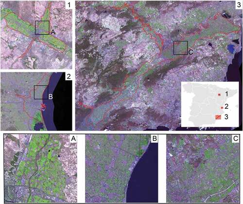 Figure 1. Case study locations. PUA Huertas: 1. Huerta de Zaragoza; 2. L’ Horta de Valencia; and 3. Huerta de Murcia-Alicante. Base map source from Sentinel-2 (L2A) data-Copernicus program, 2018 (Instituto Geográfico Nacional, Citation2018). Contains modified data Copernicus Sentinel.