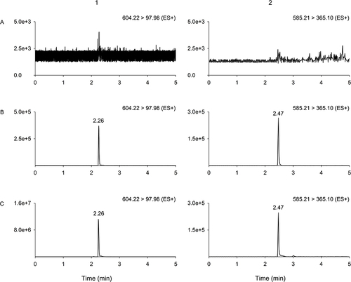 Figure 3 Typical chromatograms of adagrasib and Lapatinib-d4. (A) Blank rat plasma sample. (B) Blank rat plasma sample spiked with adagrasib at LLOQ and IS at 50.70 ng/mL; (C) rat plasma sample at 4 h after oral administration of 30 mg/kg adagrasib spiked with IS (50.70 ng/mL). Number 1 is adagrasib, 2 is Lapatinib-D4 (IS).