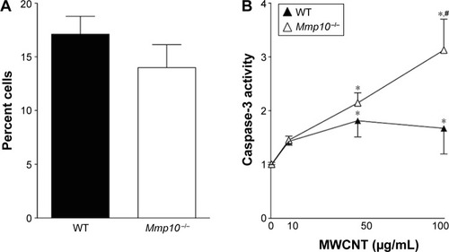 Figure 7 Absence of Mmp-10 confers sensitivity to apoptosis in BMDMs without an increase in endocytosis.Notes: (A) WT and Mmp10−/− BMDMs (n=3) were treated with 10 µg/mL of MWCNTs for 3 h and percentages of MWCNT-positive cells were obtained from averages of 4 counts of 100 cells/well. (B) Caspase-3 activity was determined in WT and Mmp10−/− BMDMs following 24-h treatment with 10, 50, and 100 µg/mL of MWCNTs, or DM, and expressed as fold change relative to untreated controls. Data were analyzed by multiple t-test. *Significant change from DM-treated WT BMDMs, #significant change from MWCNT-treated WT BMDMs (P<0.05).Abbreviations: MMP, matrix metalloproteinase; BMDMs, bone marrow-derived macrophages; MWCNT, multiwalled carbon nanotube; DM, dispersion medium; WT, wild-type.