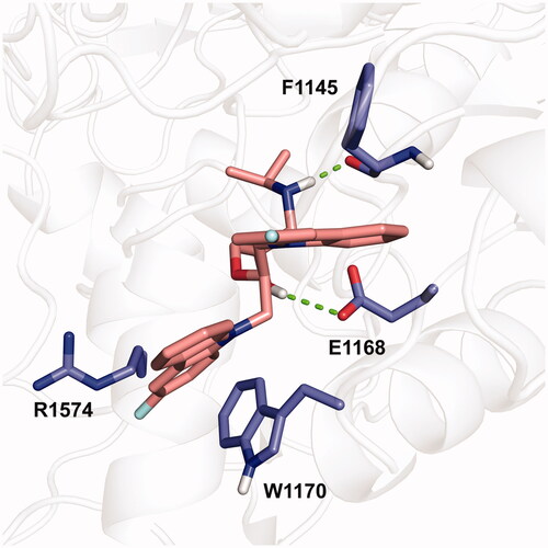 Figure 5. Putative binding mode of WK-23 with DNMT1 (PDB code 4WXX). The protein (white) is shown as a cartoon. The compound (deep salmon) and the side chain of F1145, E1168, W1170, and R1574 were shown in sticks (blue).