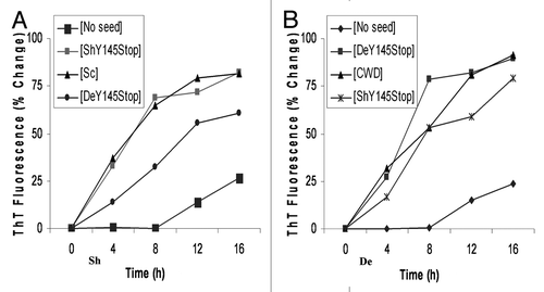 Figure 4 The progress of amyloid fibril formation measured by fluorimetric Thioflavin T uptake assay in presence of seeds. One percent (w/w) performed fibrillar seeds (denoted in square brackets) were added to solutions containing monomers of sheep (A) or deer (B) Y145Stop. No seed control showed the characteristic lag phase, while seeded reactions with partially purified PrPSc from deer [CWD] or sheep [Sc] eliminated the lag phase. Similar conversion rates were observed with cross seeding by in-vitro converted Y145Stop of sheep [ShY145Stop] or deer [DeY145Stop].