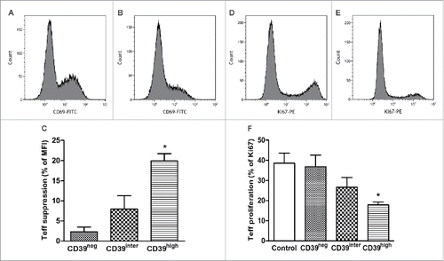 Figure 5. Suppression of activation and proliferation of T-effector cells (CD4+CD39neg) after co-culture with CD39neg, CD39inter and CD39high B cells. The sorted subsets of B cells were co-cultured with T effector cells for 24 h or 72 h and CD69 (A–C) or Ki-67 expression (D–F) levels were measured, respectively. (A, B) Representative histograms illustrate CD69 expression on activated T effector cells cultured alone (A) or after co-culture with CD39high B cells (B). (D, E) Representative histograms illustrate proliferation of activated T-effector cultured alone (D) or after co-culture with CD39high B cells (E). (C and F) Suppression of CD69 expression on activated T effector cells (C) or of proliferation (Ki67 expression) of responder T cells (F) after co-culture with CD39neg, CD39inter and CD39high B cells. Control in (F) denotes proliferation of T effector cells alone. * indicates significant difference (p < 0.05) from the control. In (C), * indicates significant suppression in CD69 expression induced by CD39high cells relative to CD39inter B cells (p < 0.01). CD39neg B cells served as control. The data are presented as mean values ± SEM of three independent experiments.