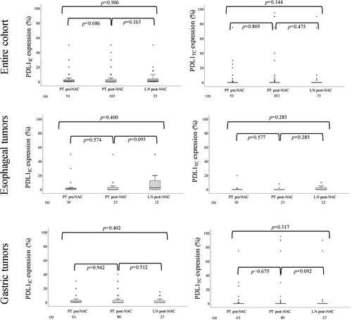 Figure 2. Boxplots visualizing the expression of PD-L1IC and PDL1TC in PT pre-NAC, PT post-NAC and LN post-NAC, in the entire cohort, esophageal tumors and gastric tumors, respectively