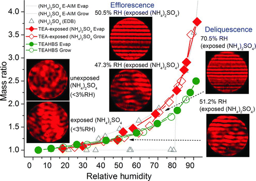 FIG. 8 Hygroscopicities of E-AIM predictions of ammonium sulfate and EDB-measurements of ammonium sulfate particles, the 3-ppm TEA-exposed (20 h, 50% RH) ammonium sulfate particle and a TEAHBS particle, and Mie scattering patterns of the 3-ppm TEA-exposed ammonium sulfate particle. (Color figure available online.)