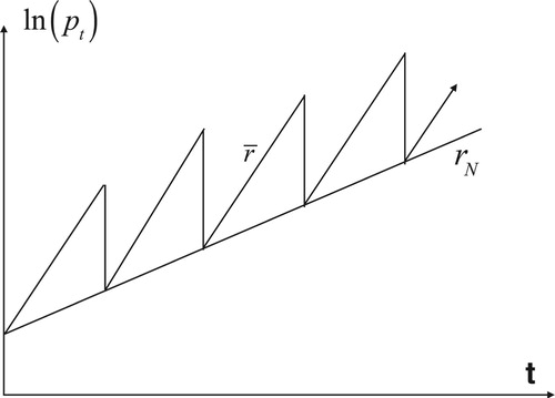 Figure B1. Schematic representation of the price process, which grows instantaneously at the growth rate r¯>rN and crashes periodically with an amplitude k ln⁡(pt/exp⁡(rNt)) proportional with a coefficient k ≤ 1 to the mispricing with respect to the average fundamental price process with return rN. This “efficient crash” condition ensures that the long-term growth is given by rN.