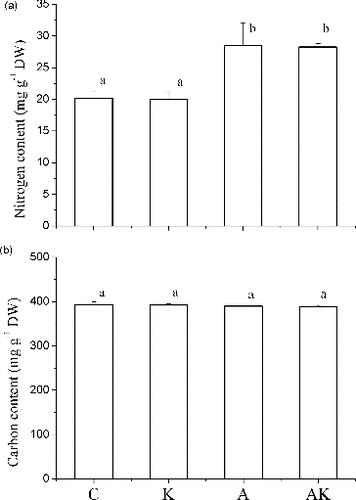 Figure 6. Contents of nitrogen and carbon in tubers of V. natans grown in different treatments at the end of the experiment. C: the control with tap water only; A: NH4+ enriched tap water; K: K+ enriched tap water; and AK: NH4+ and K+ enriched tap water. Values are the mean ± SD (n = 5). Different letters indicate significant differences (p < 0.05).