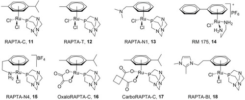 Figure 4 Selected RAPTA complexes from Ang and Dyson.Citation75