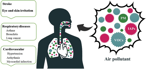Figure 2. Air pollutants enter the human body and induce diseases.