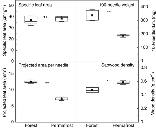 Figure 2 Boxplot diagrams for specific leaf area (SLA), 100-needle weight, mean projected area per needle and sapwood density (youngest 30 tree rings) of P. abies at the tall grown reference forest and on the permafrost site. n = 5 for all parameters, except for sapwood density where n = 4. Means where compared for significant differences by Wilcoxon rank scores (n.s., not significant; ∗, P < 0.05; ∗∗, P < 0.01).