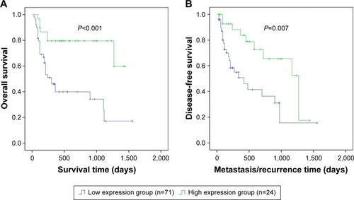 Figure 2 Correlations of RBM4 expression with the overall survival and disease-free survival of HCC.