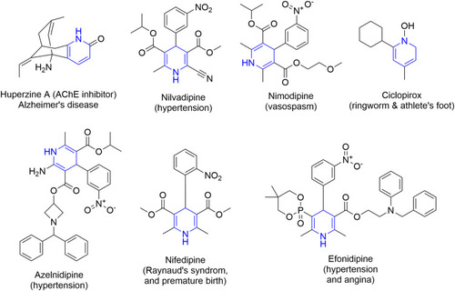 Figure 7 Some commercially available drugs containing the dihydropyridine scaffold.